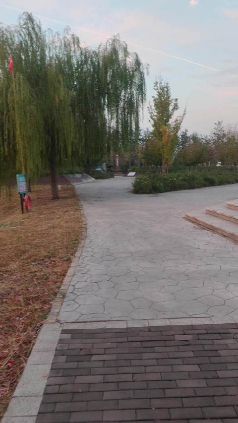 #运动打卡##城市漫步# 走进公园，才懂秋季独有的温柔