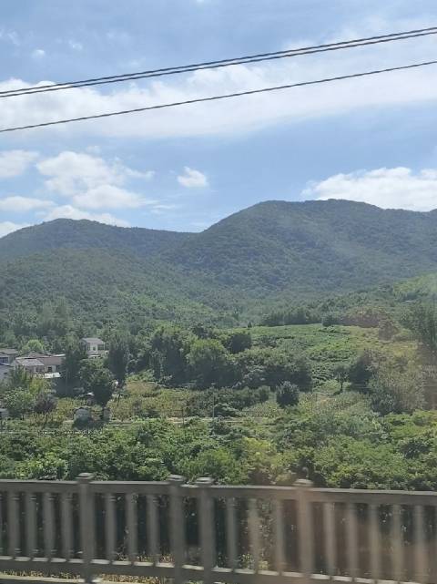 被树木覆盖的连绵群山，在蓝天白云下连绵向远方。满眼绿意，满心欢喜，不负好时光