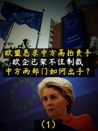 欧盟恳求中方高抬贵手，欧企已架不住制裁！中方两部门如何出手？