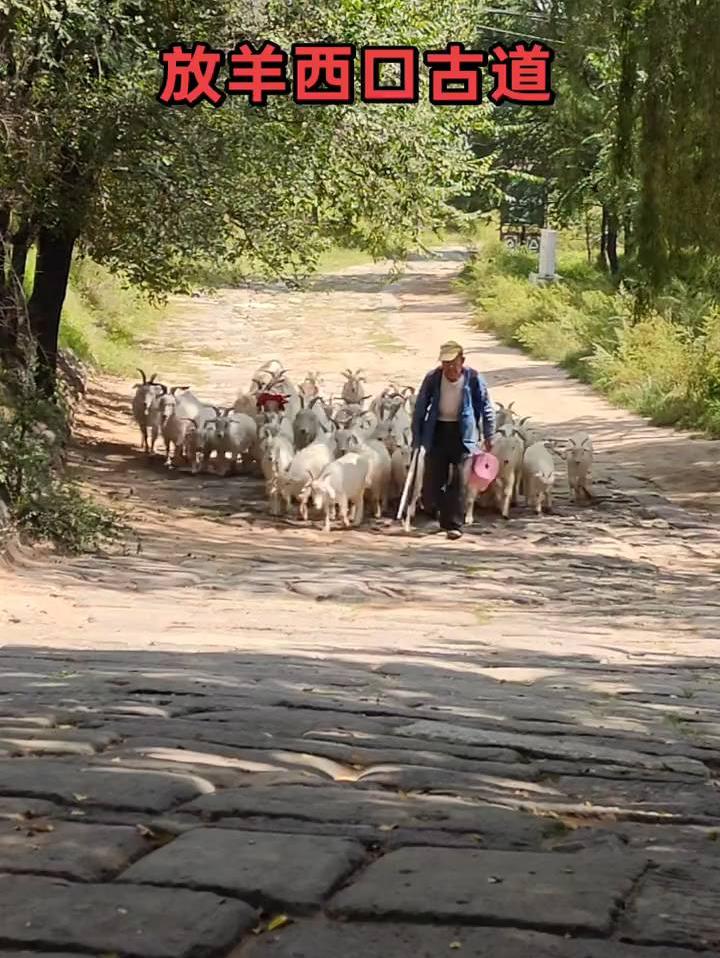 牧羊杀虎口西口古道