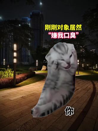 猫meme
