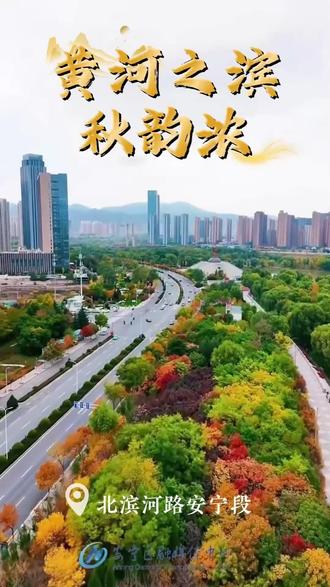 黄河之滨秋韵浓！#兰州市安宁区 #黄河风情线 #桥见黄河来见一面（采制：安宁融媒 杨斯嘉）