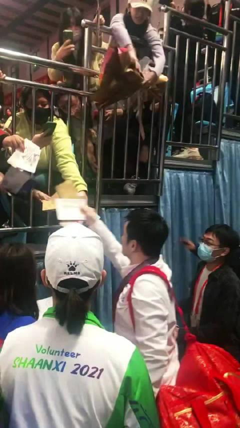 #樊振东说边界感强不等于冷漠# 樊振东很珍惜他的球迷！对真心喜欢他尊重他的球迷他都会给相应的回应！