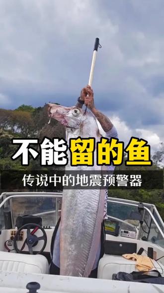 传说中的地震预警器 如果看见了 千万不能留