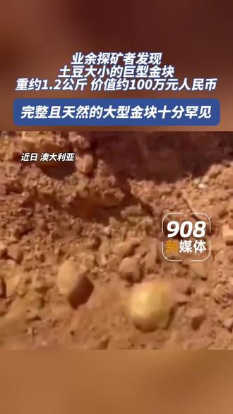 业余探矿者发现土豆大小的金块。