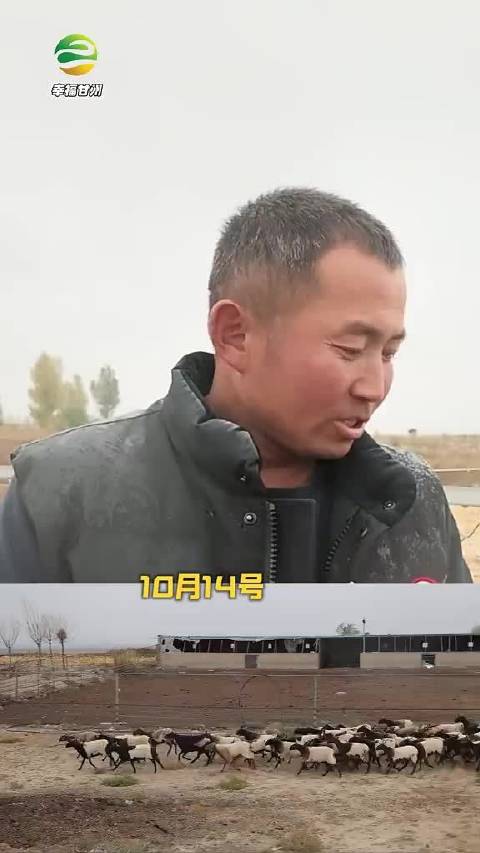 #网络文明陇风清##甘肃身边事##兰州身边事# 异地借牧羊群意外走失民警和当地群众接力帮忙搜寻