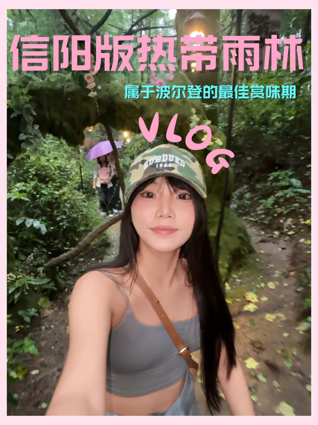 VLOG |逃离城市计划之波尔登雨林徒步