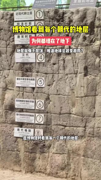 博物馆中的古代地层，为啥都埋在地下了？