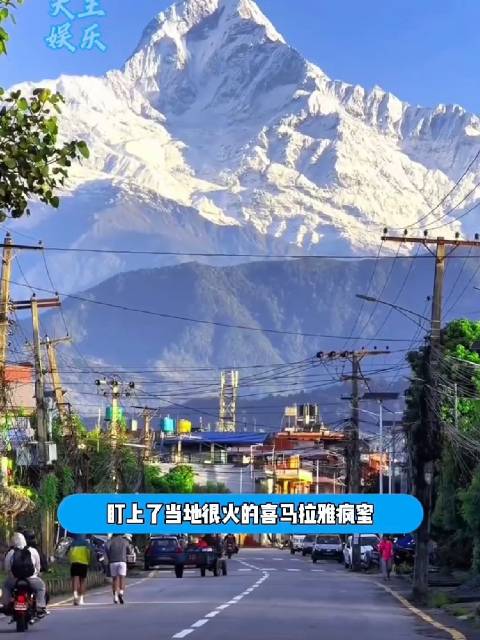 博主在尼泊尔旅游 买了当地的特色产品喜马拉雅疯蜜 结果把家人都吃进了医院  ​​​