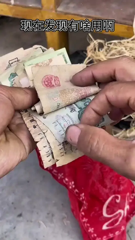 鞋里发现了什么