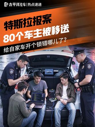 特斯拉报案，80个韩国车主被移送，给自家车开个锁错哪儿了?#特斯拉  #马斯克  #FSD  #特斯