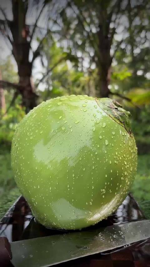 超级解压切椰子🥥  ​​​