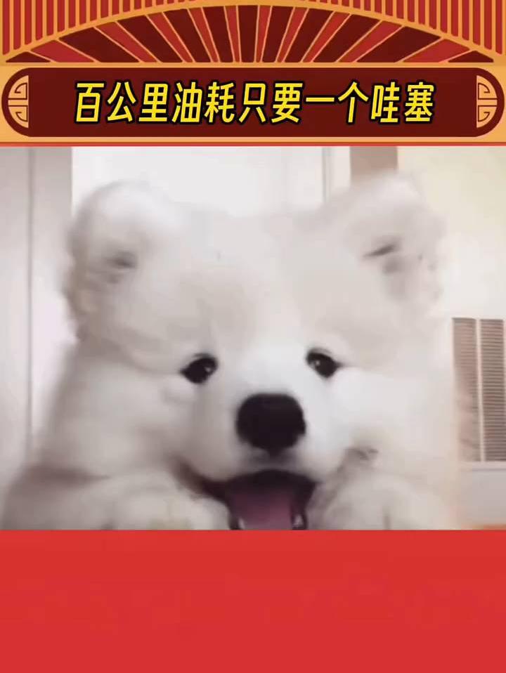 小孩哥百公里油耗只需要两句哇塞