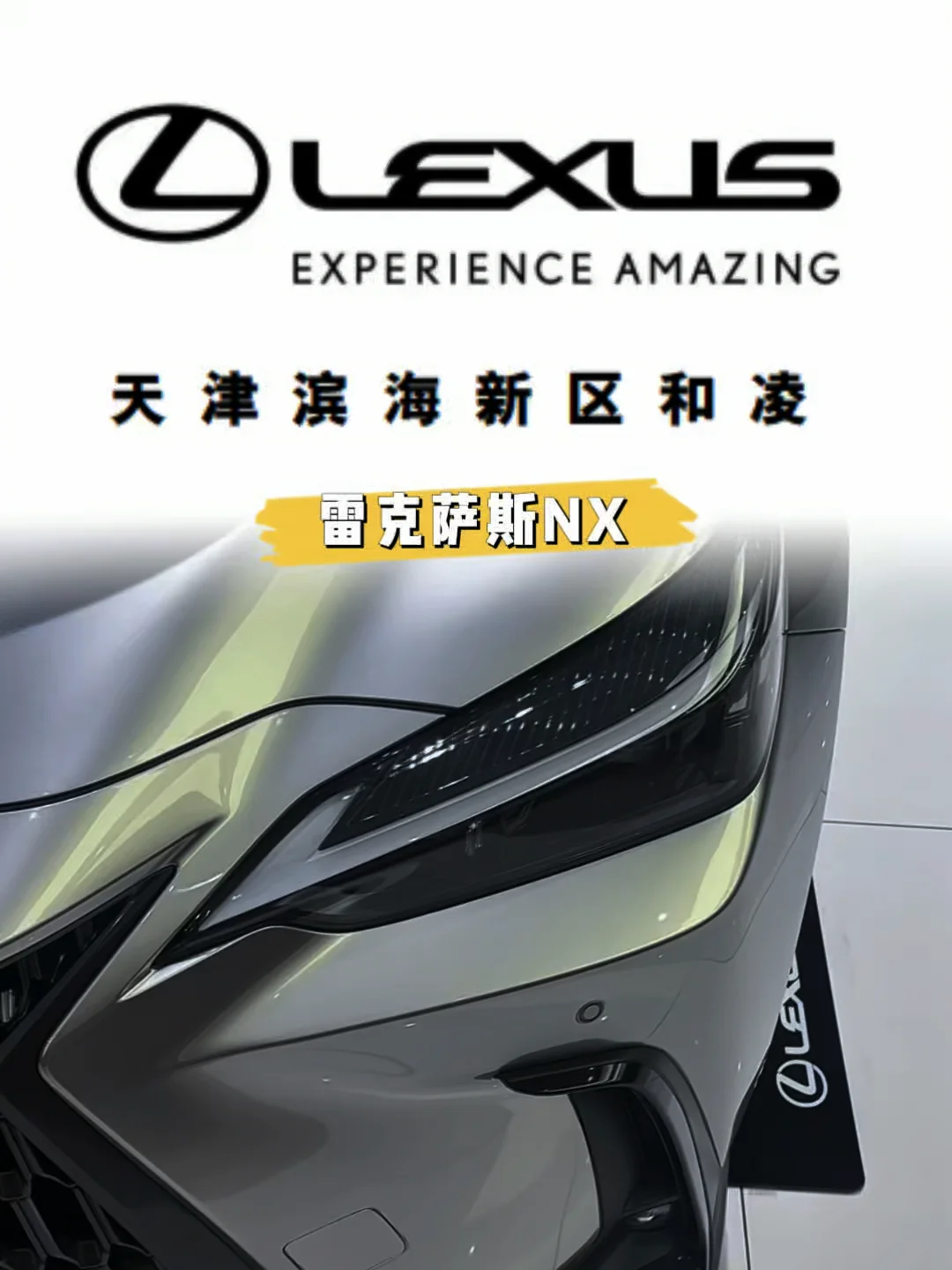 #NX#趣享NeXt#雷克萨斯NX#乐享金秋