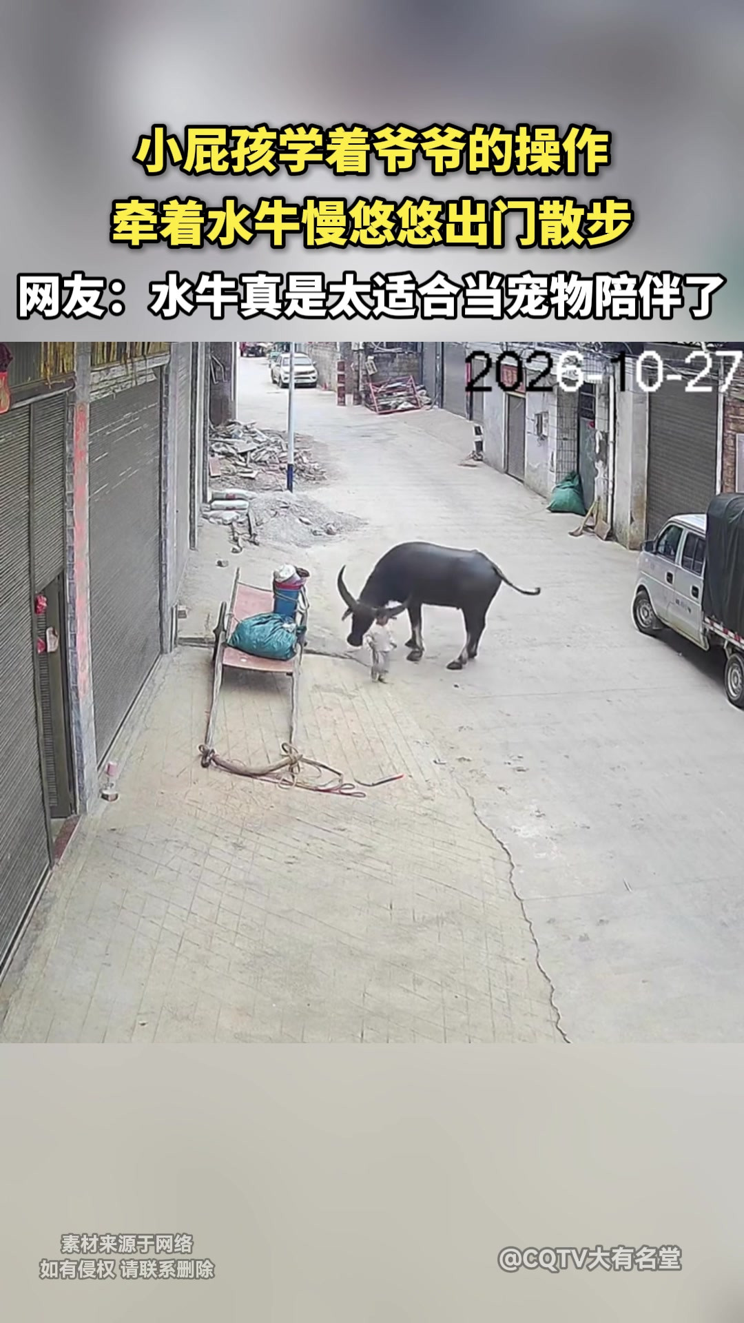 小屁孩学着爷爷的操作牵着水牛慢悠悠出门散步