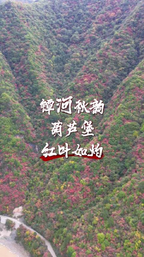 #遇见美好##小书法人# 镡河秋韵，葫芦堡，红叶如灼